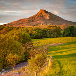 Roseberry Topping From Cliff Ridge Hill Photo Slate