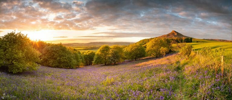 Roseberry Topping Panoramic