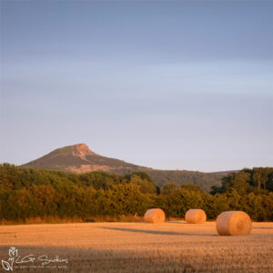 Roseberry Topping In Golden Light From The Fields Of Nunthorpe Photo Slate