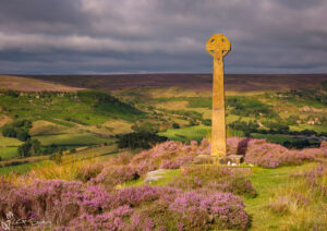Rosedale