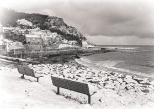 Runswick Snow Black And White