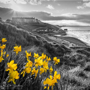 Saltburn Daffodil Sunset Colour Splash Mini Foam Board Print