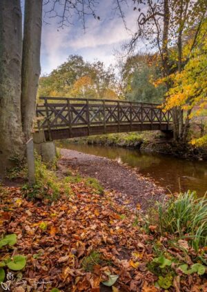 Saltburn Valley Gardens