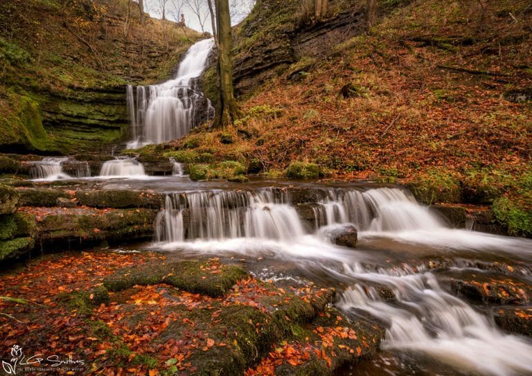Scaleber Force