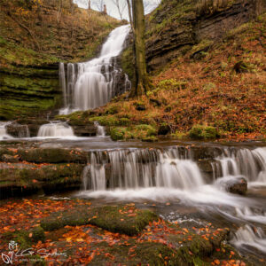 Scaleber Force Photo Slate