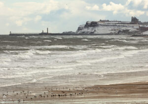 Seagulls On Whitby Beach