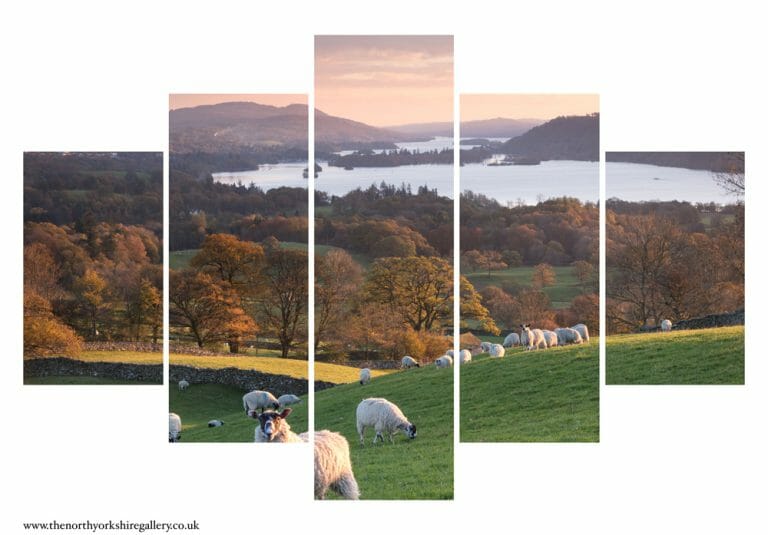 Sheep On The Banks Of Autumn Windermere 5PCS Wall Art