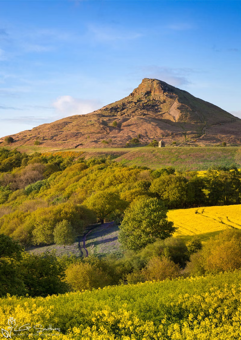 Spring Below Roseberry Topping Spring Below Roseberry Topping