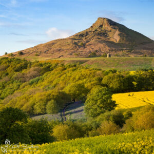 Spring Below Roseberry Topping Photo Slate