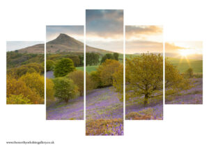 Sunrise Over Roseberry Topping And Bluebells 5PCS Wall Art
