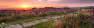 Sunset Over Roseberry Topping And The Cleveland Way Slim Panoramic