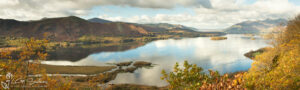 Surprise View Ashness Woods Derwent Water Slim Panoramic