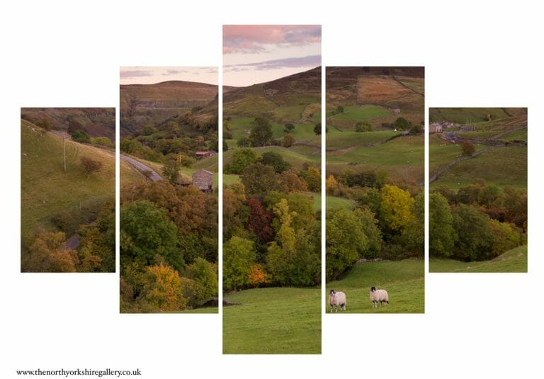 Swaledale Sheep At Keld 5PCS Wall Art