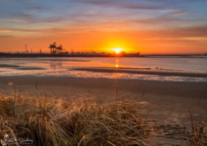 Teesmouth