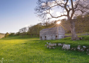 The Barn In A Field Of Buttercups