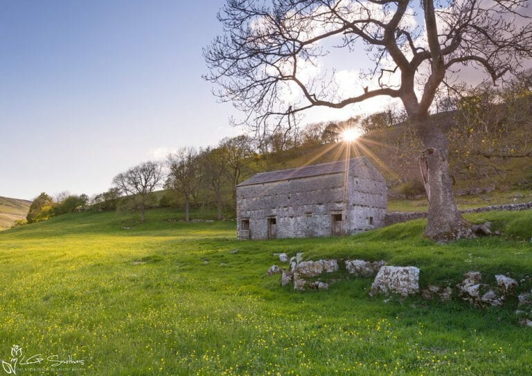 The Barn In A Field Of Buttercups