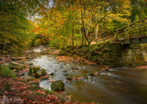 The Bridge To Falling Foss