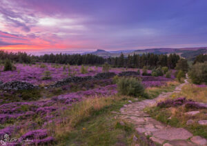 The Cleveland Way To Roseberry Topping