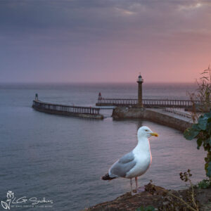 The Menace Of Whitby Photo Slate