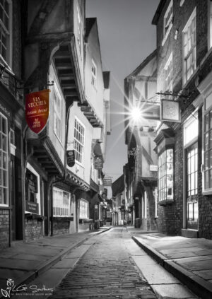 The Shambles Colour Splashed