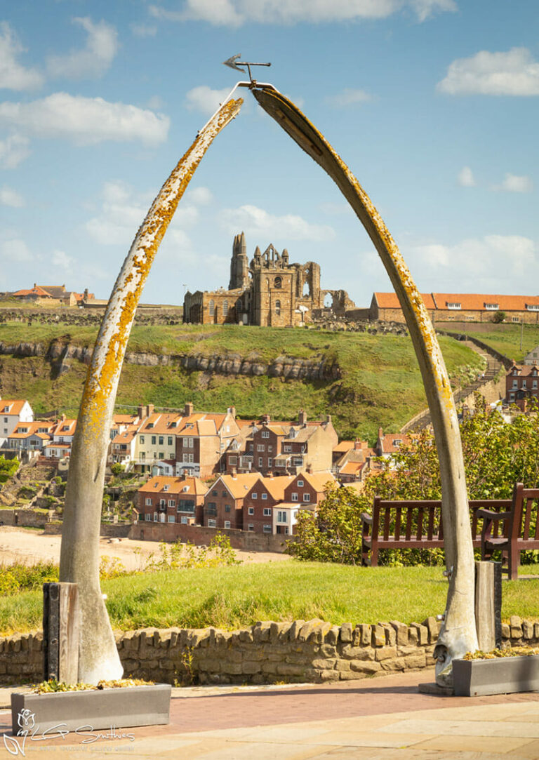 The Whalebones West Cliff Whitby
