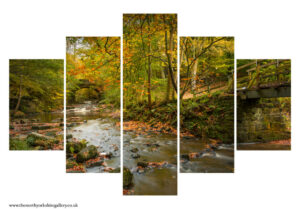 The Bridge To Falling Foss 5PCS Wall Art