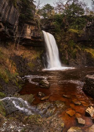 Thornton Force
