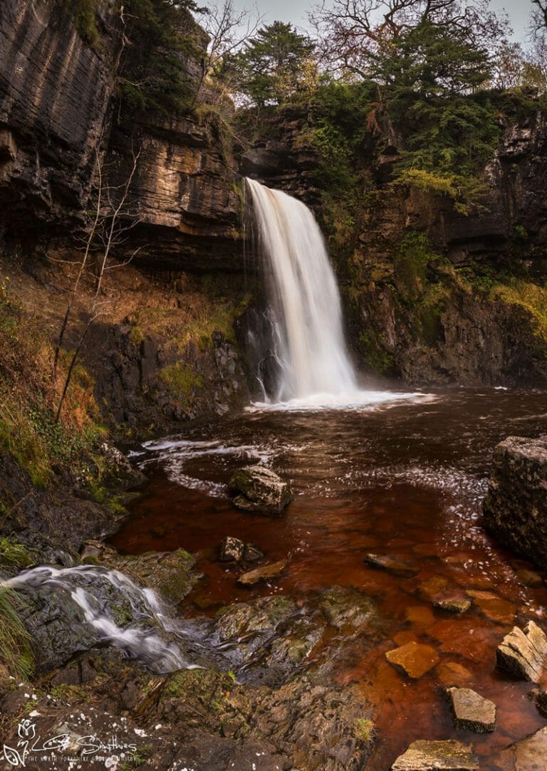 Thornton Force