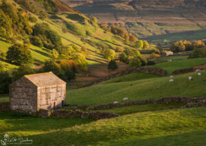 Thwaite Barns Swaledale