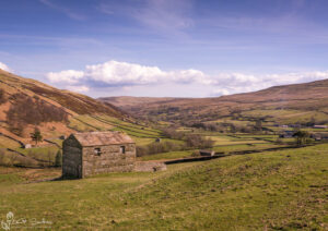 Thwaite Early Spring