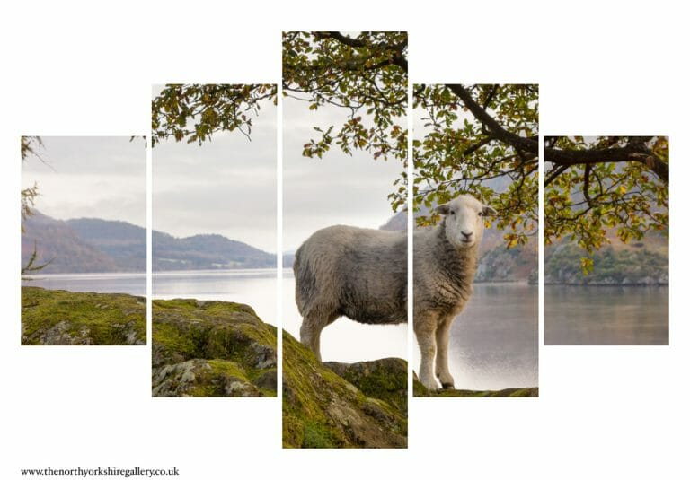 Ullswater Sheep On An Autumn Morning 5PCS Wall Art
