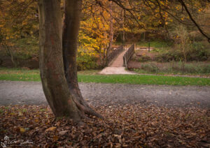 Valley Gardens Saltburn