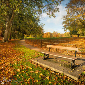 Waterside Knaresborough Photo Slate