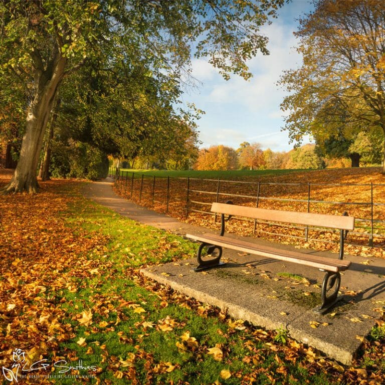 Waterside Knaresborough Photo Slate