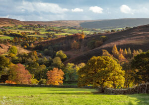 Westerdale In The Autumn Sunshine