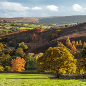 Westerdale In The Autumn Sunshine Photo Slate