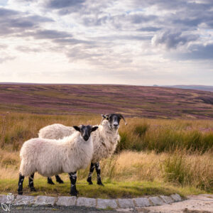 Westerdale And Roseberry Topping Photo Slate