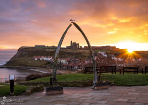 Whalebones Sunrise