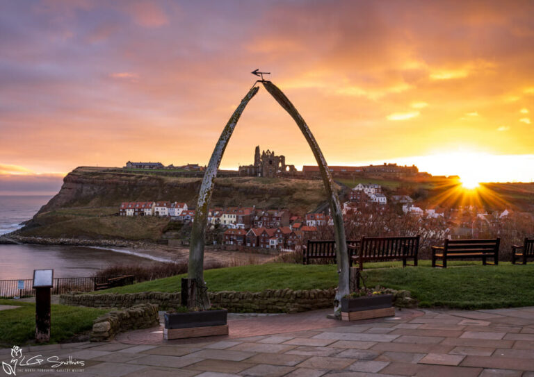 Whalebones Sunrise