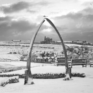 Whalebones In The Snow Black and White Photo Slate