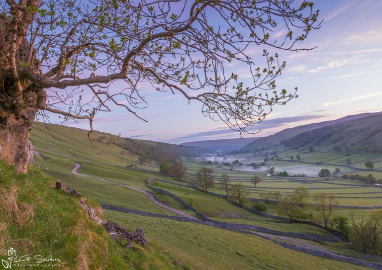 Wharfedale Mist