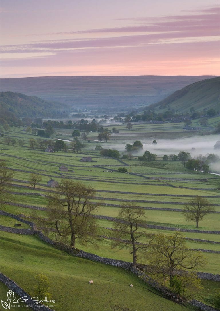 Wharfedale Valley Portrait