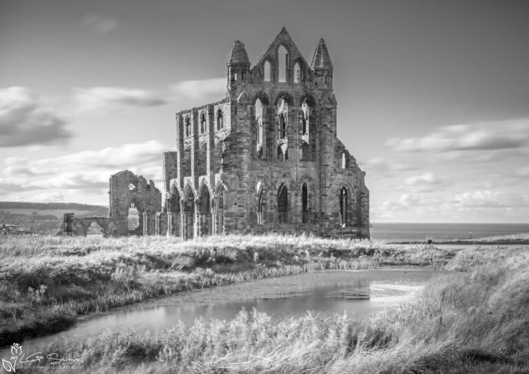 Whitby Abbey Black And White