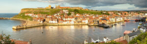 Whitby Evening Slim Panoramic