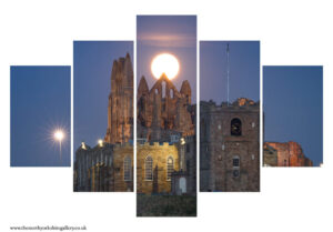 Whitby Moon 5PCS Wall Art