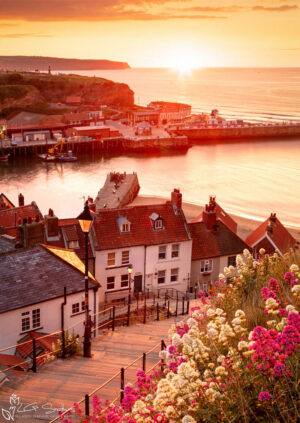 Whitby Steps 2019