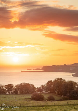 Whitby Sunrise From Lythe Portrait