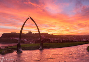Whitby's Whalebones