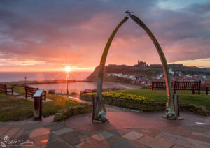 Whitby Whalebones In Spring