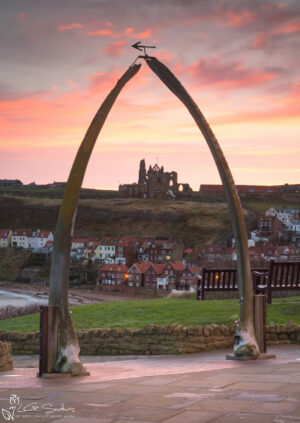 Whitby Whalebones 2017